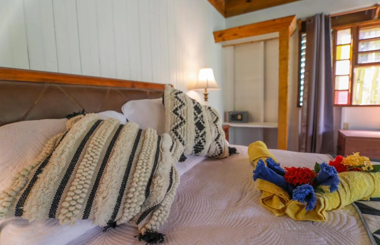 Zimbali Culinary Retreats Villa Negril Lodge
