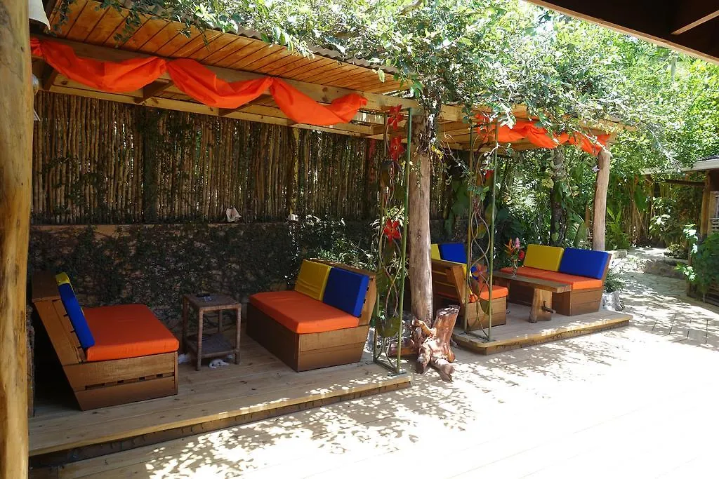 Lodge Zimbali Culinary Retreats Villa Negril Jamaica