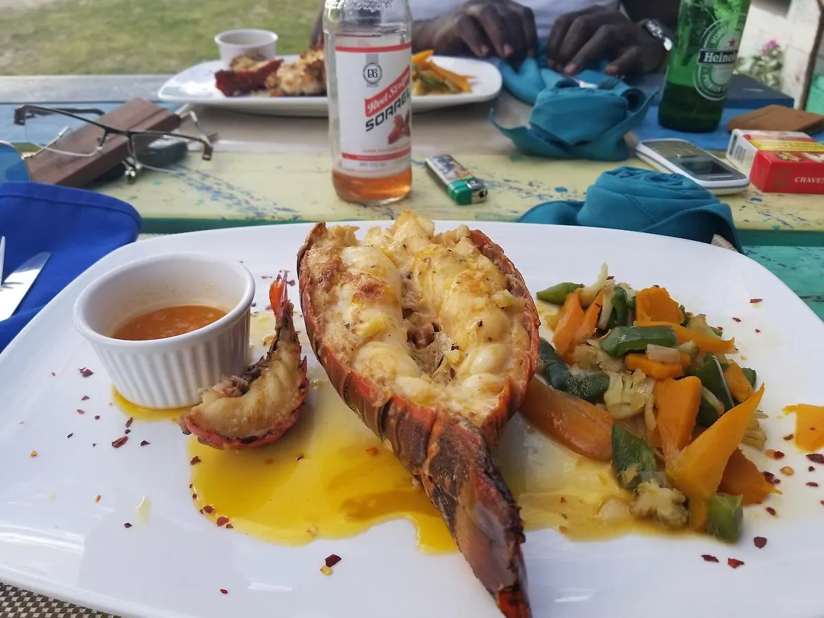 Zimbali Culinary Retreats Villa Negril Lodge