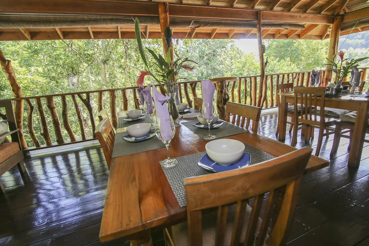 Lodge Zimbali Culinary Retreats Villa Negril Jamaica