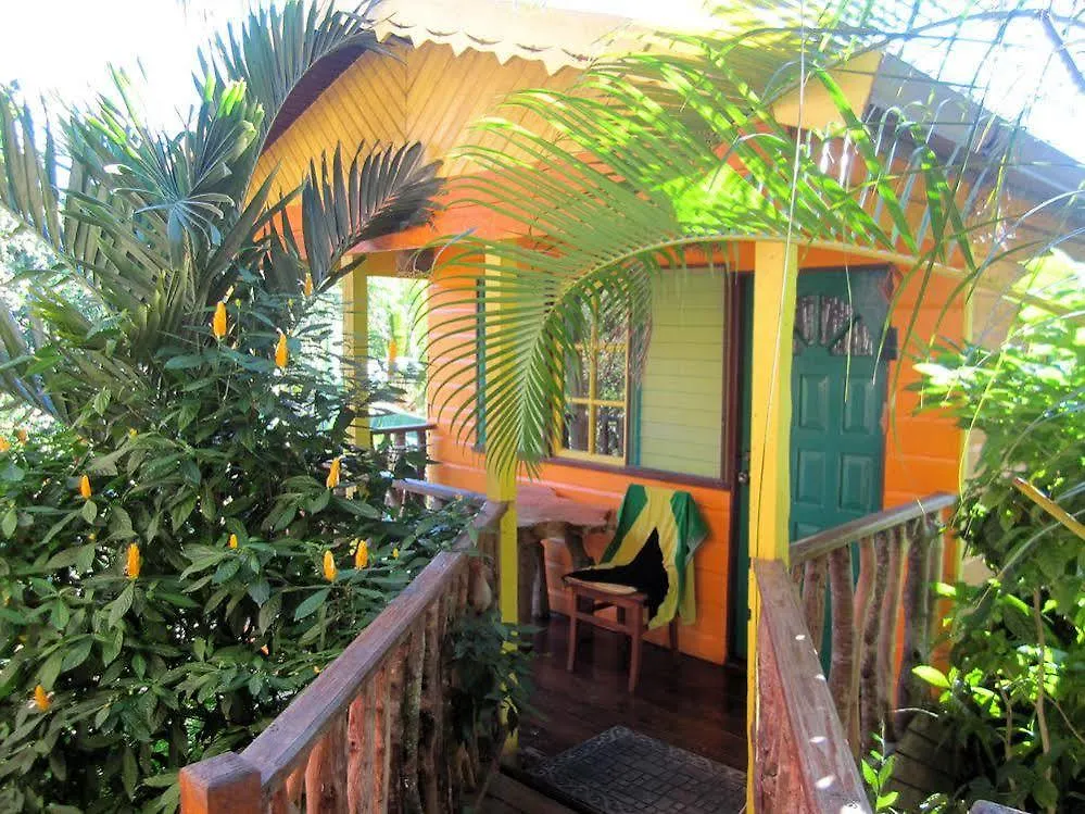 Zimbali Culinary Retreats Villa Negril 0*,